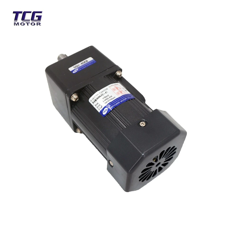 60RPM gear motor